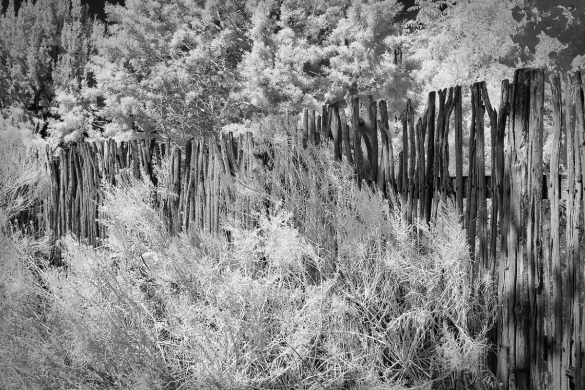 Decorated Fence