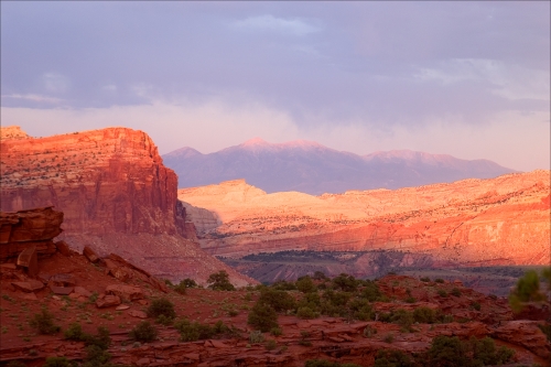 Capitol Reef National Park