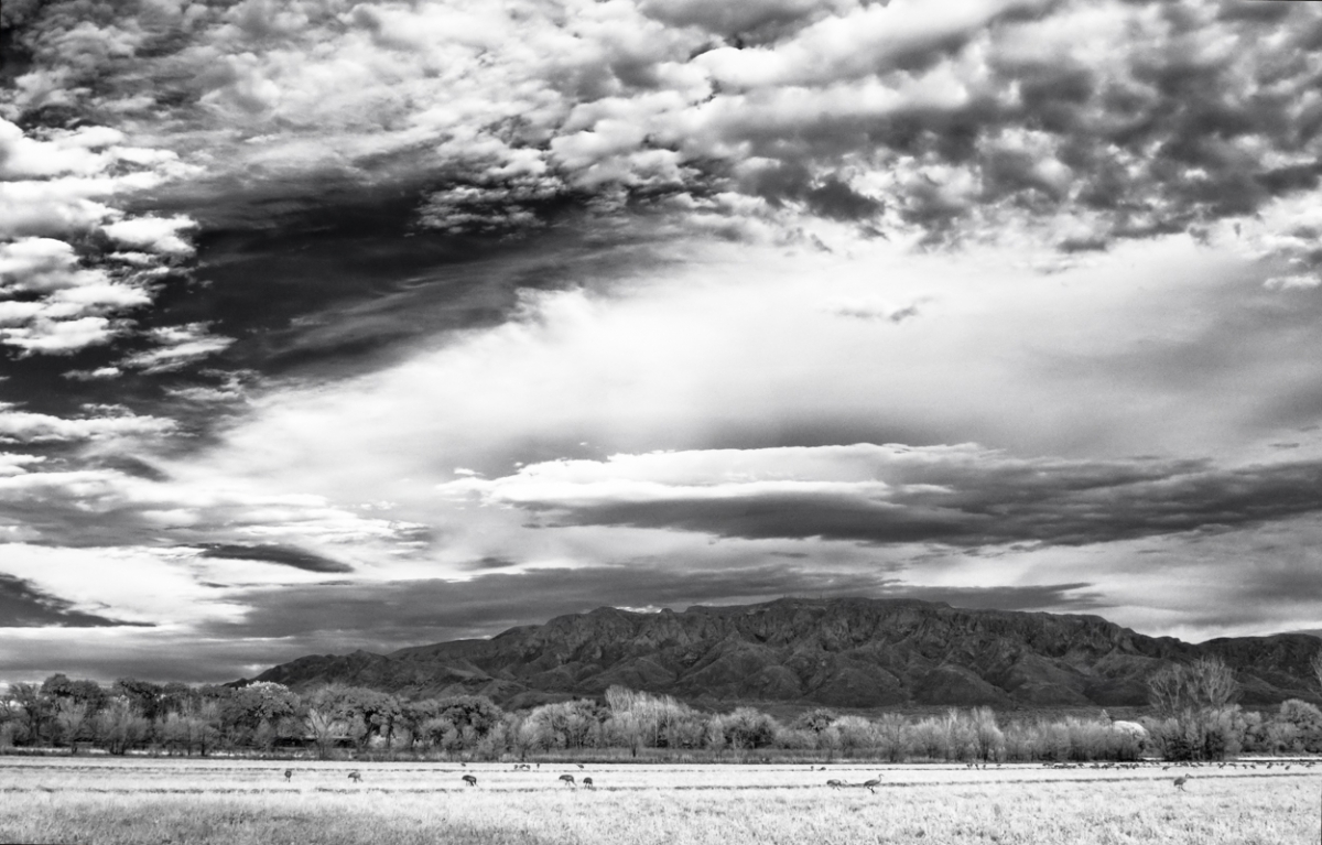 Rio Grand Valley, Albuquerque, New Mexico