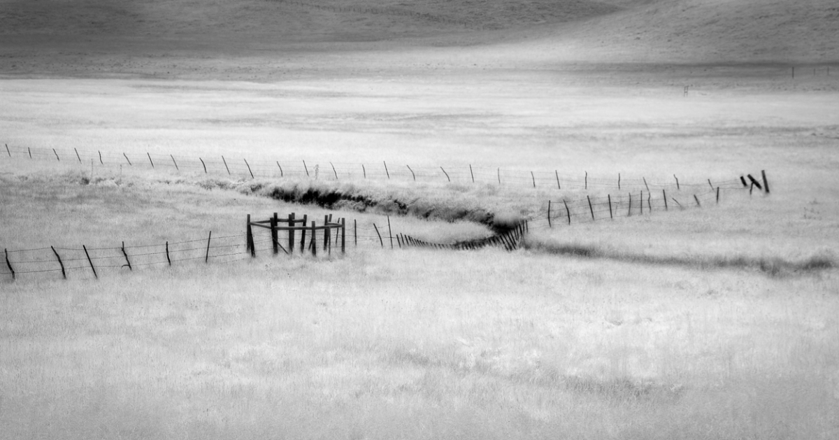 Valles Caldera National Preserve, NM